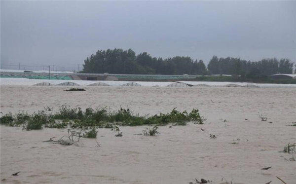 山东会发生水灾吗？除了济南银座718事件