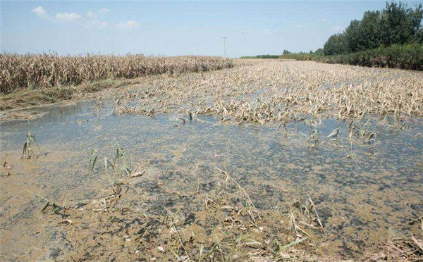 山东会发生水灾吗？除了济南银座718事件