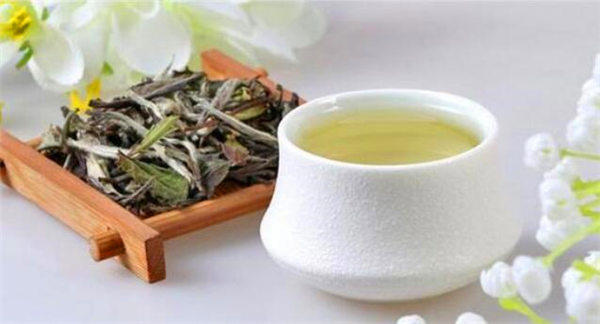 白茶是什么茶是绿茶吗？经常有人问这个问题