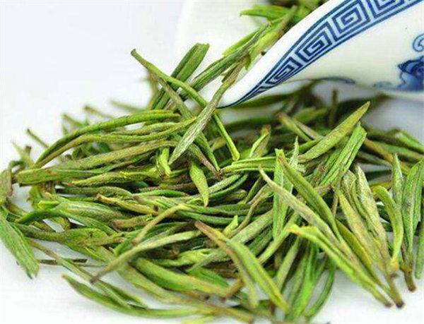 白茶是什么茶是绿茶吗？经常有人问这个问题