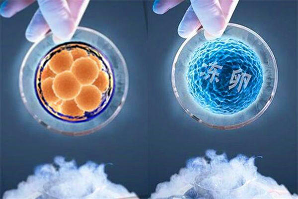 冻卵过程详细介绍，这三点注意事项不可不知