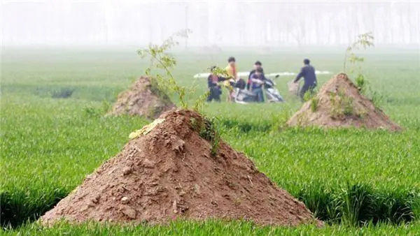 老规矩人过七十不上坟是什么意思(并不是封建迷信)