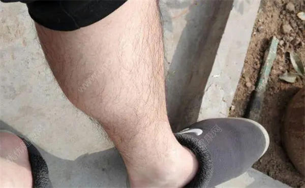 有福之人两腿毛，无福之人毛两腿是什么意思(腿毛多的人就有福吗)