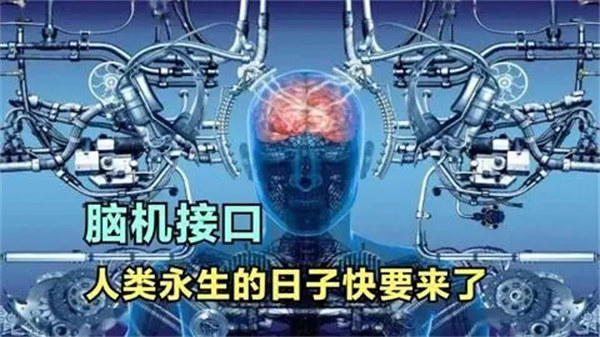 脑机接口技术介绍(马斯克能将其彻底变成现实吗)