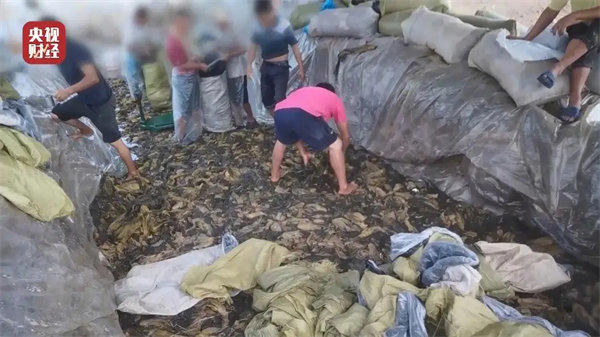 2022年315晚会曝光名单大全(都是老百姓生活中常接触的)