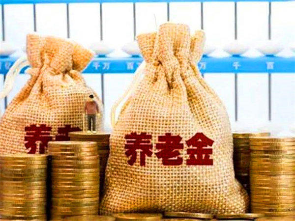 有人建议实行无差别养老金(无差别养老金基本不可能实现)