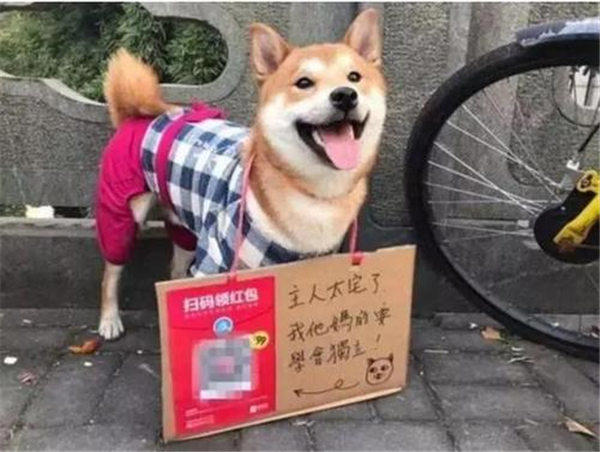 大街上扫二维码送小礼物礼品的是怎么回事(小心扫二维码送礼物的套路)