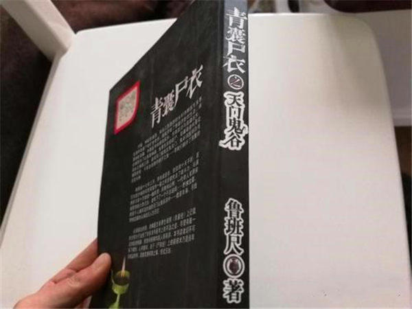 《青裹尸衣》有几部？怎么评价这部小说