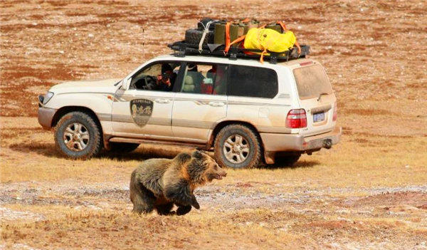 女孩一个人去无人区原因除了不想活了有没有其他理由
