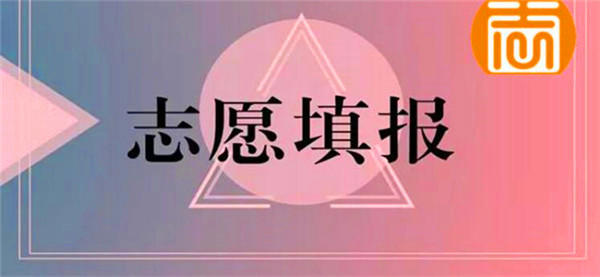 怎么填报高考志愿？这几点你要注意