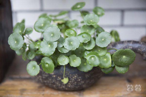 天冷加衣服的说说 天冷谨防感冒