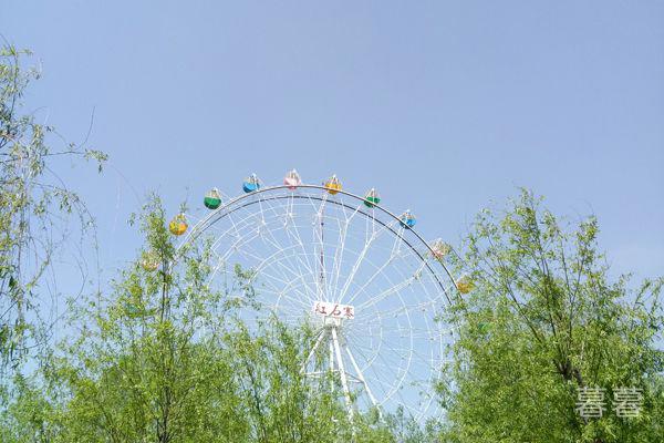 心里好烦用一段话表达 爱情总是能让人变失落