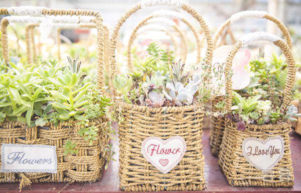 希望出太阳的说说 有阳光的日子真好