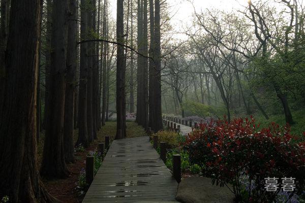 用一句话形容郁闷心情 每一句都非常的扎心