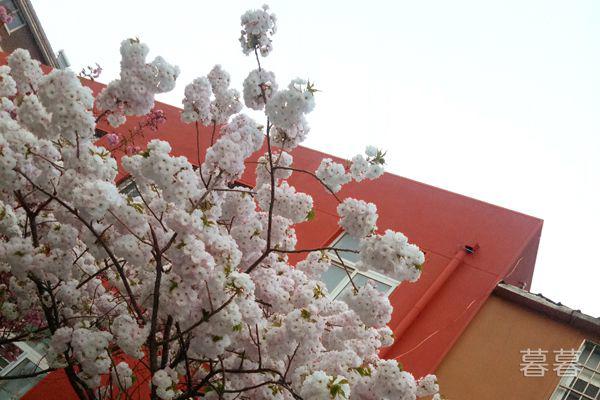 形容失恋了一个人孤单的句子 总有一句适合你