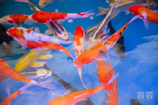 中年人相亲要注意什么 外在已经不是首要需求了