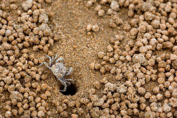 导致男人分手的原因有哪些 有些事情男人绝不会让步