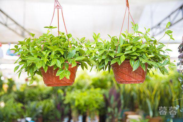 男人最讨厌女人什么行为 不是所有男人都不在乎坏习惯的