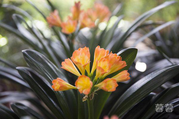 闺蜜为什么容易变成第三者 其实都是太相似惹的祸