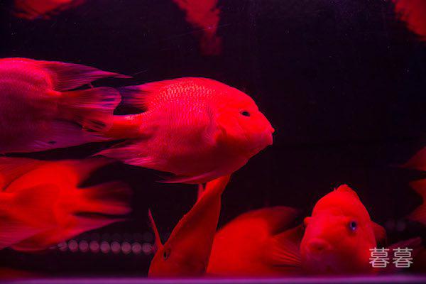 什么样的女人最有魅力 女人最有魅力的可不是外表