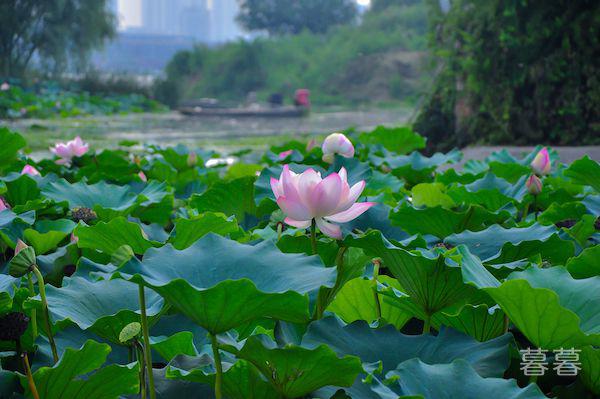 男人为什么喜欢坏女人 坏女人的诱惑真是难以抗拒