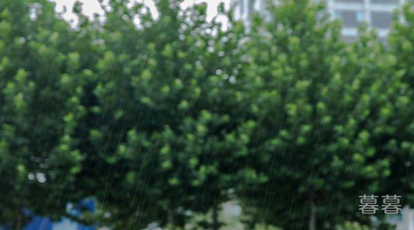 关于霜降的优美句子 滴露成霜寒气阵阵来