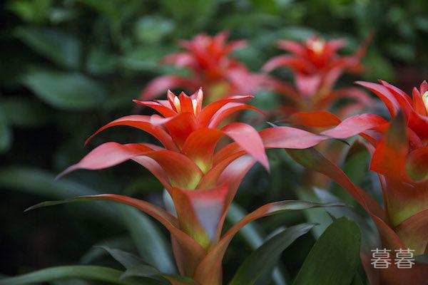 性对于婚姻有多重要 是夫妻感情的润滑剂