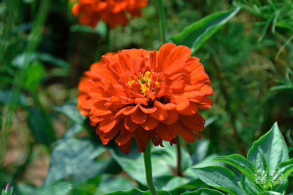 异地男生想分手的征兆 冷战是最伤感情的