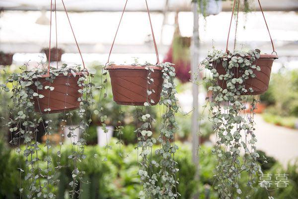 摘抄秋天优美的句子 晚秋让人浮想联翩