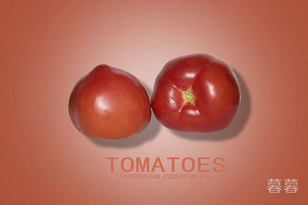 秋分节气吃什么养生 这些美食最滋补