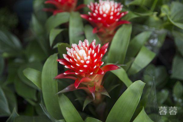 老婆和娘家人看不起我 我在这个家毫无尊严