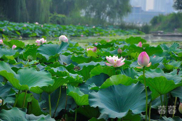 合伙做生意需要注意什么 别在这几点上栽了跟头