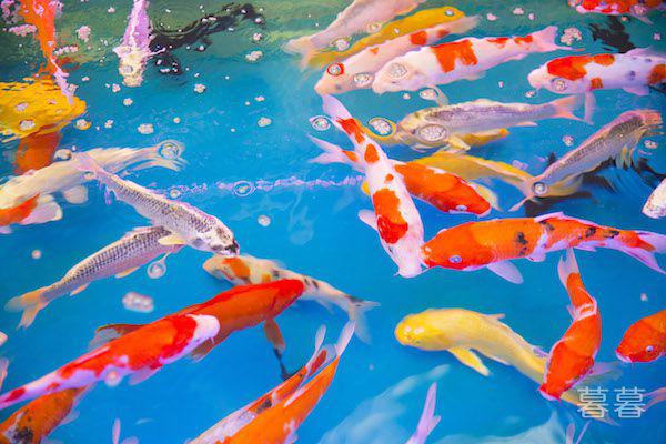 婚姻迷途陈天宇全集 感情在妻子和情人之间盘旋