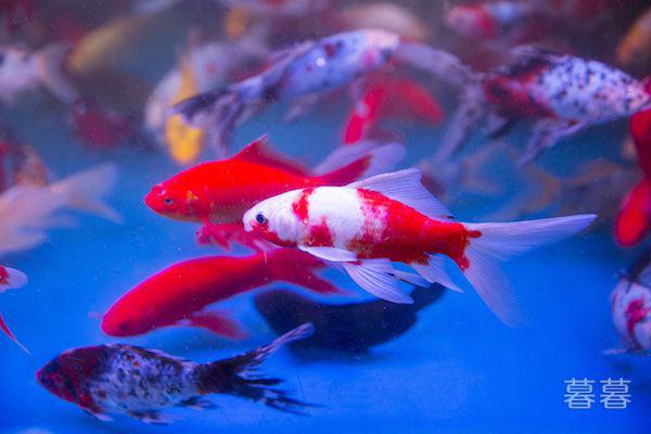 身心疲惫的心情说说 心累的时候好想找个肩膀