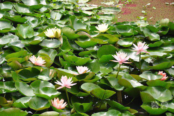 秋分送朋友的祝福语 愿你一生幸福好运绵长