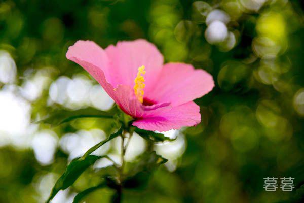 形容心情好的句子经典 愿你笑口常开永无烦恼