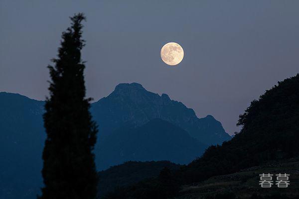 科学解释人有无下辈子 美国科学家罗伯特实验研究结论