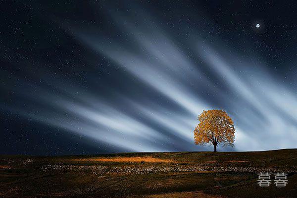 爱情上比较被动的男人性格分析 多半情商都有问题