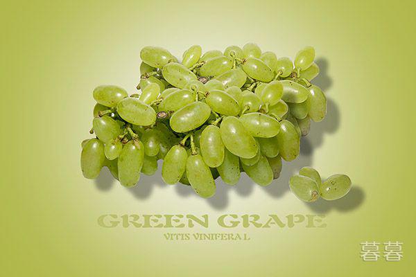 中国中秋节吃什么食物 这才是最传统的节日美食