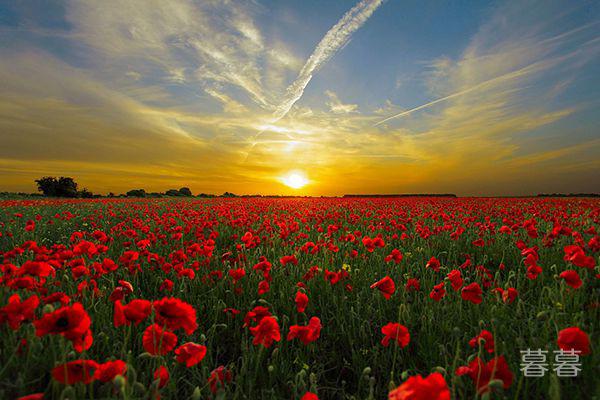 姻缘到来的二十个预兆 注定的缘分千万别错过