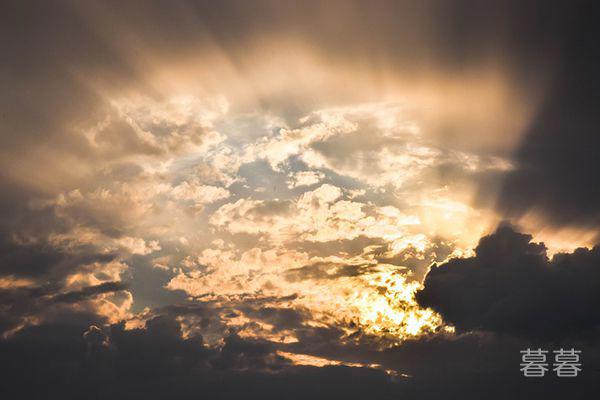 进化论误导了整个人类吗 人和猴子究竟什么关系