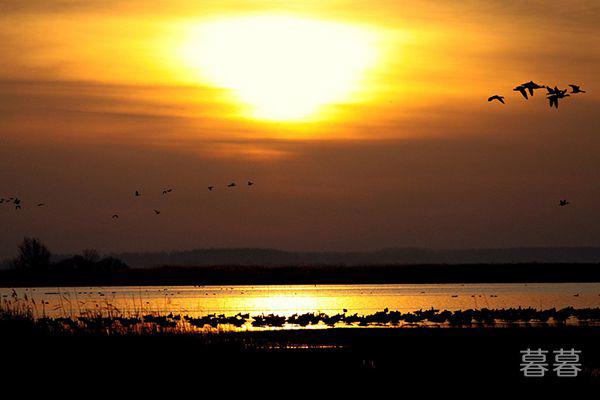 进化论误导了整个人类吗 人和猴子究竟什么关系