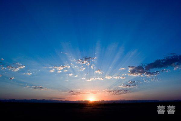 进化论误导了整个人类吗 人和猴子究竟什么关系