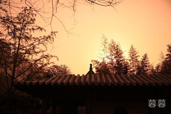 教师节朋友圈说说大全 愿您青春常在