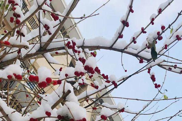 ​关于秋冬唯美短句 让人心里暖暖的