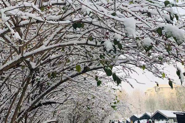 ​关于秋冬唯美短句 来自冬日里的温暖