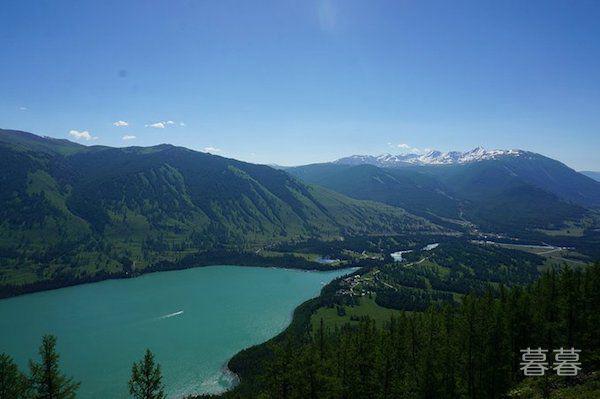 真实的奇人异士的故事 天赋异禀令人生羡