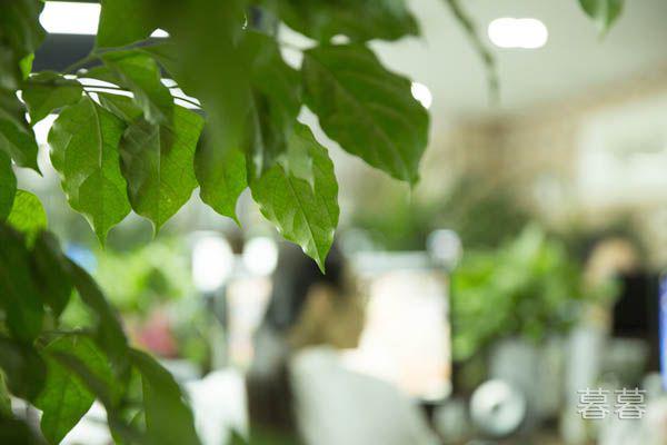 新的一天开始精美语句 给自己一个崭新的心情