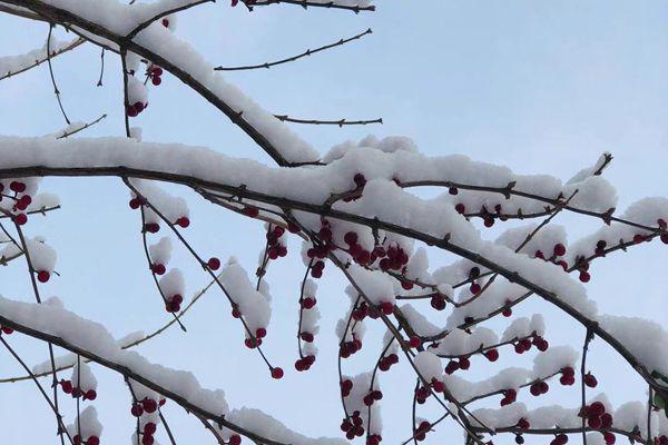描述冬天的句子唯美 寒风中也有温暖在
