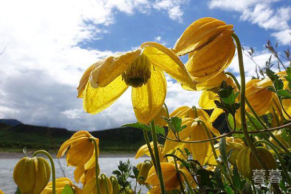 女人二婚幸福的概率是多少 离异女的再婚自述